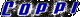 CP02 ADESIVO COPPI